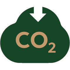 carbonio negativo