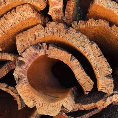 corteccia di sughero